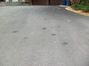 Seal Coating Your Driveway