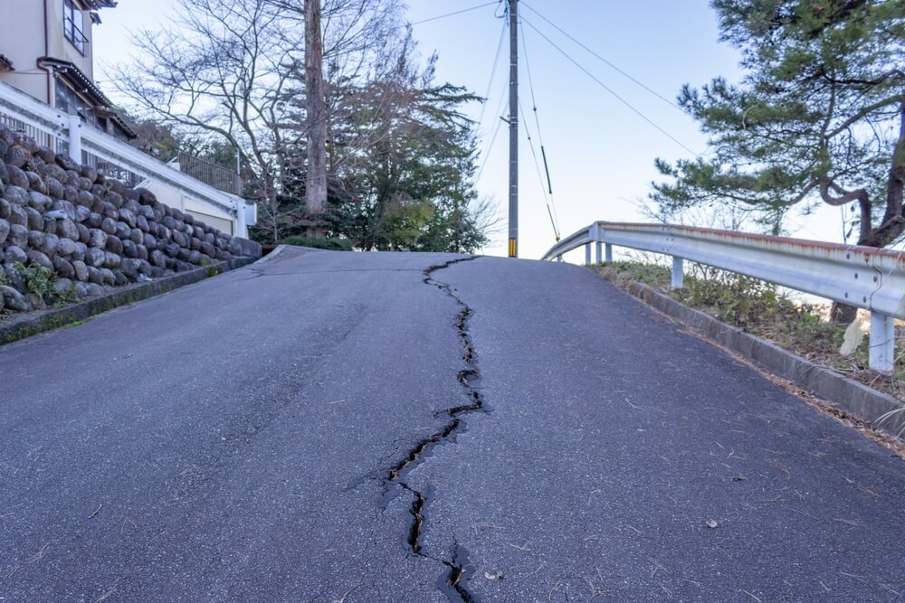 Alligator Cracking in Asphalt: Causes and Fixes