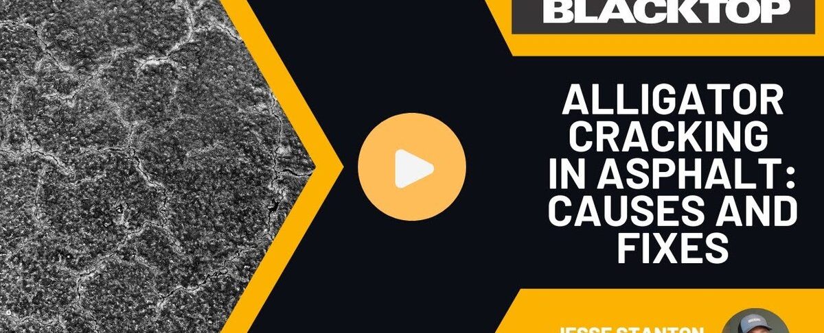 alligator cracking in asphalt causes and fixes