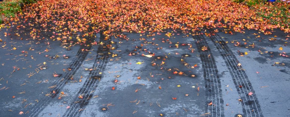 Blacktop Driveway Care: Do’s, Don’ts, and Maintenance Essentials